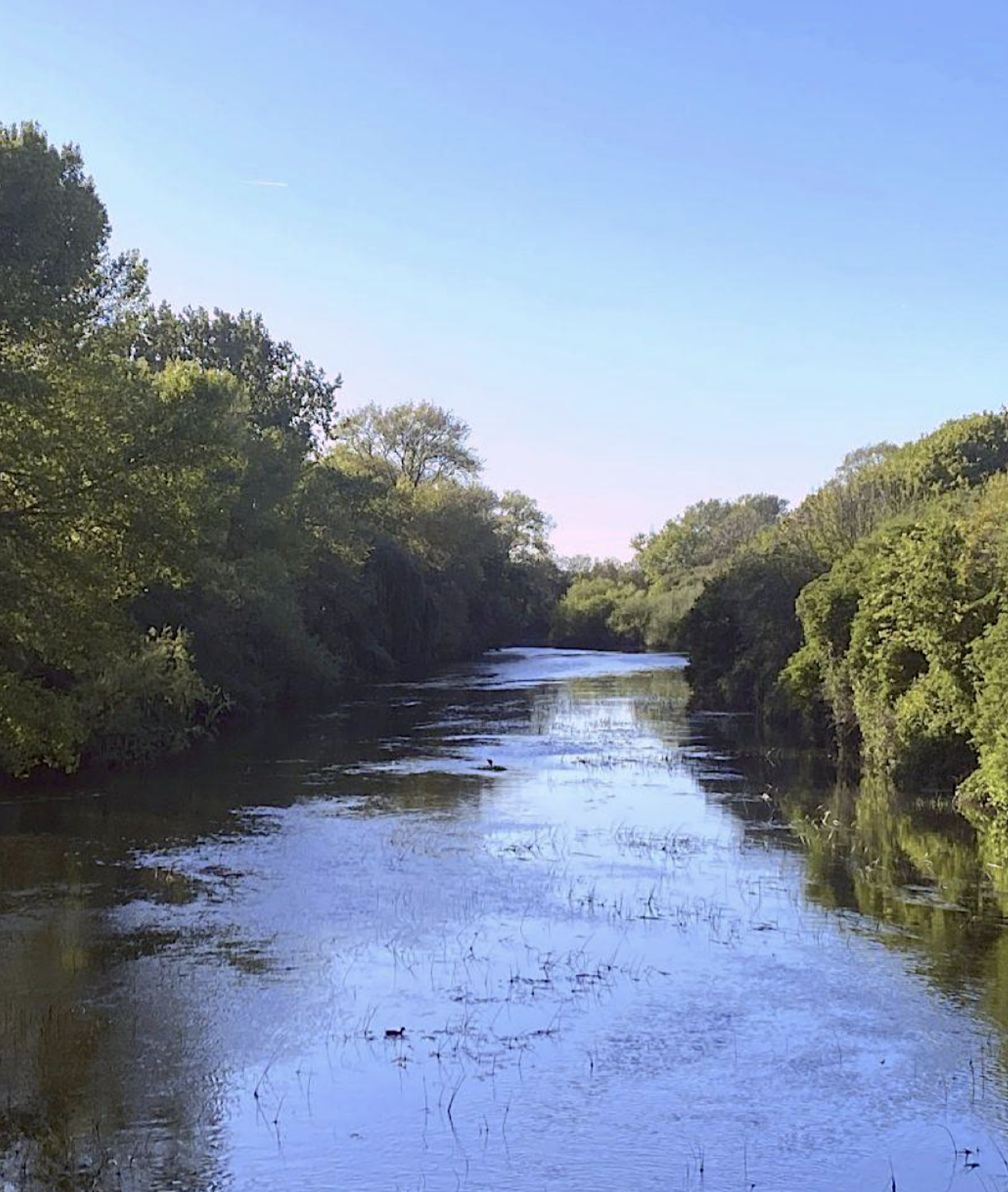The River Lea